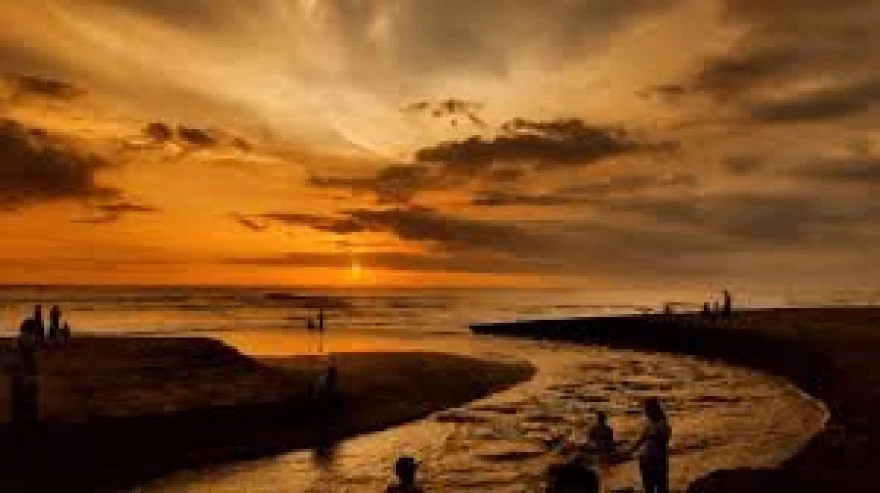 Potensi Pantai Kedungu